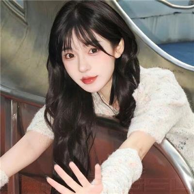 恐龙战队第五季