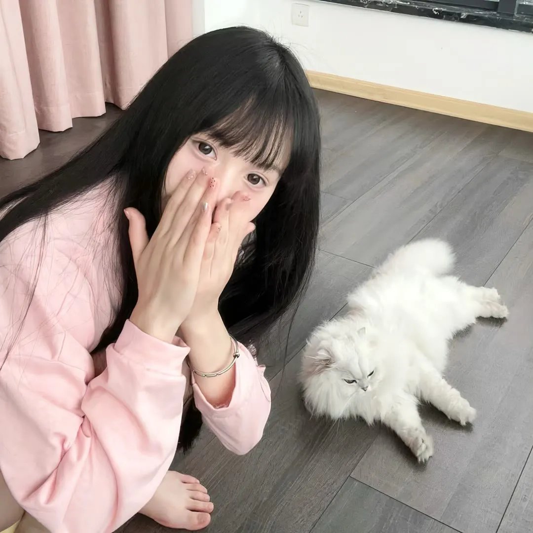 捕狼行动